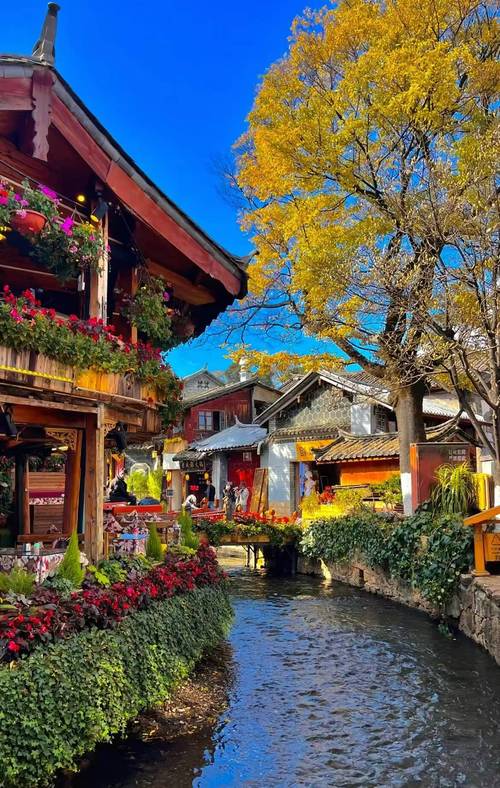 云南20个最值得去的地方_云南旅游介绍_云南旅游必去景点