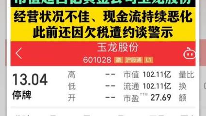 玉龙股份主动退市案例_2025年A股首单退市_2025停牌的股票一览表