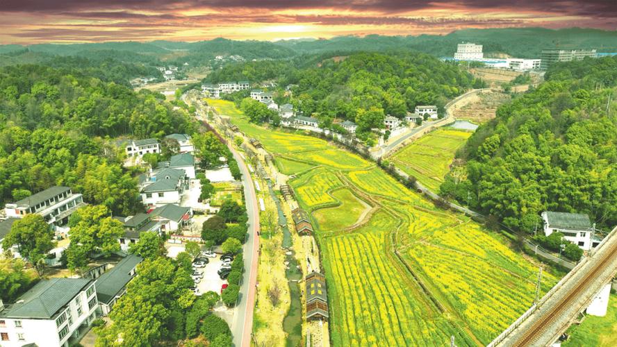 清溪村文学活动与村民生活_湖南清溪村文学赋能乡村振兴_乡村文化复兴