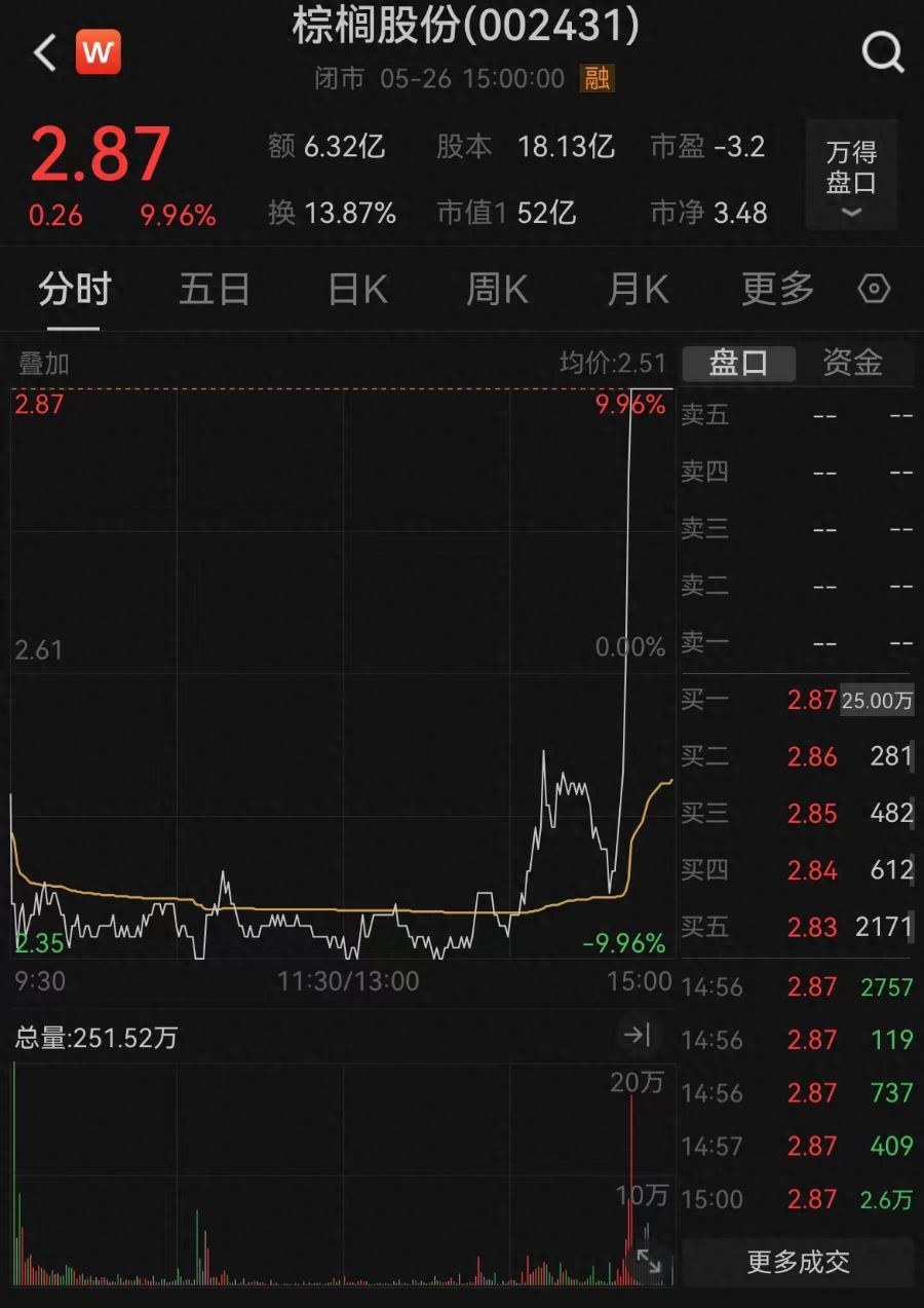 棕榈股份_棕榈股份股价过山车_棕榈股份连续涨停分析