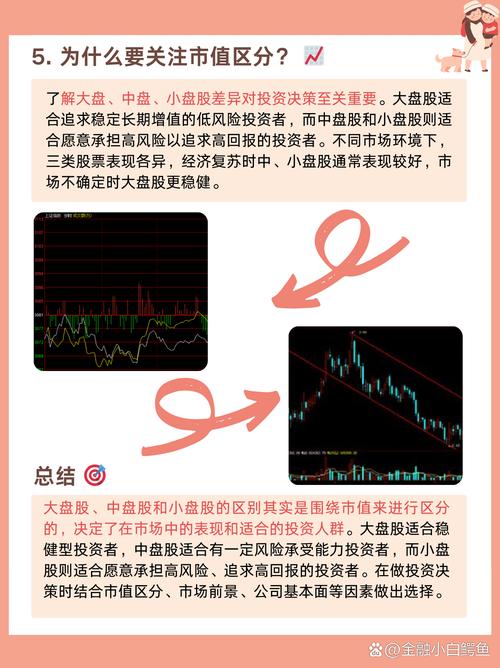股票盘子大小看哪里_股市盘子大小怎么看_股票盘子大小