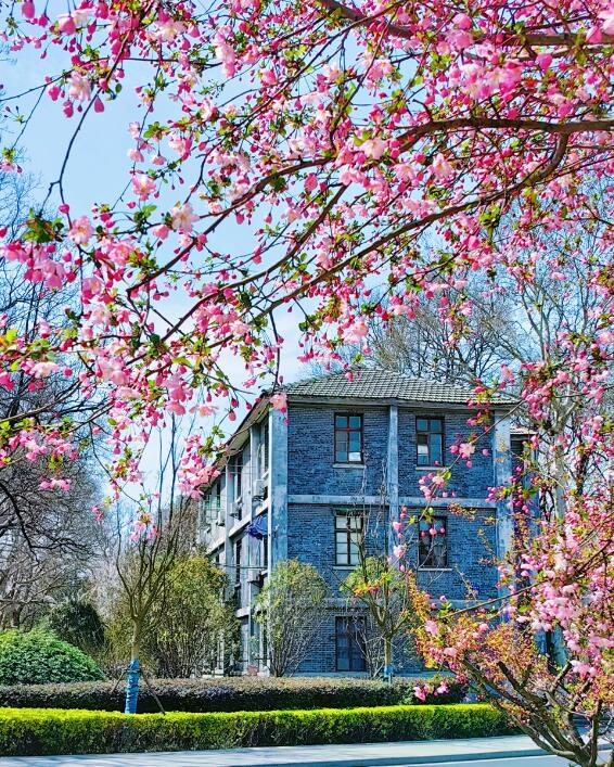 2025江西财经大学分数线_江西财经大学中俄2+2国际本科报名流程_江西财经大学中俄2+2国际本科项目优势分析