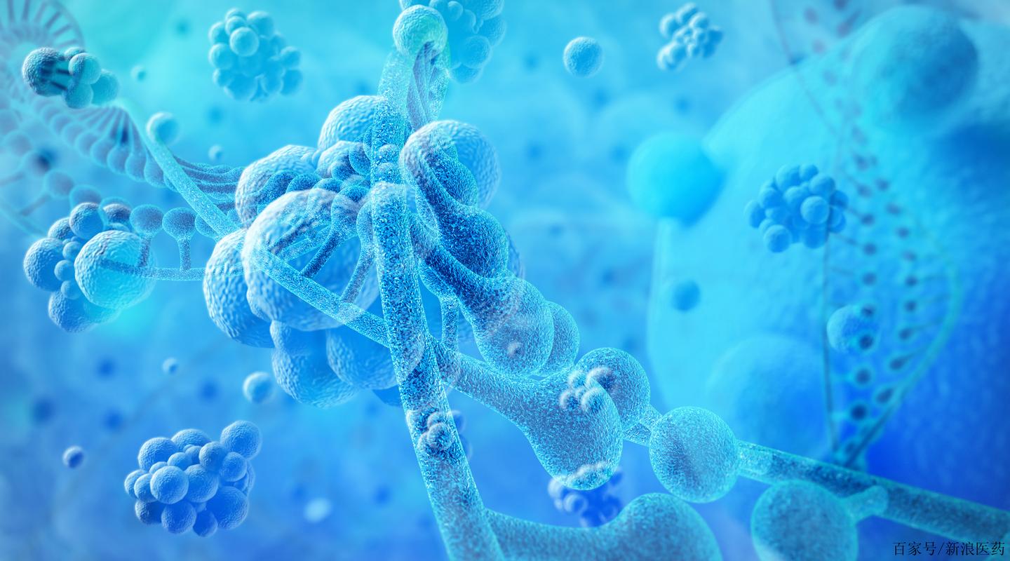 阿斯利康和礼来哪个好_辉瑞好还是阿斯利康好_阿斯利康和阿斯利康中国