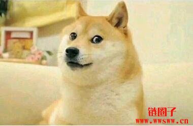 ibm club 【狗狗币入门指南】什么是狗狗币?为什么涨这么多?