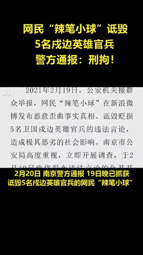 辣笔小球 侮辱卫国戍边英雄言论 _ 辣笔小球 被禁言一年处理 _辣笔小球 赵丽颖