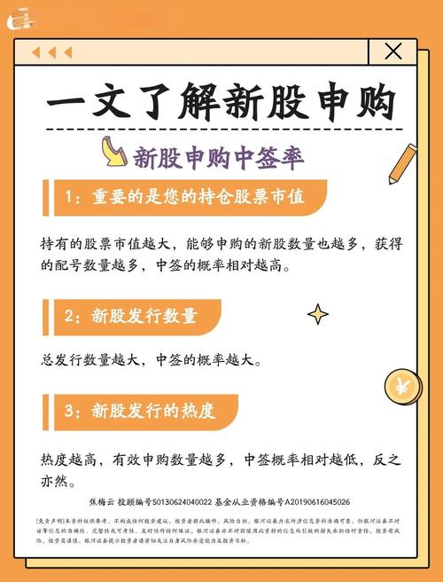 新股申购数量规定_新股中签率与收益预测_新股申购成功率