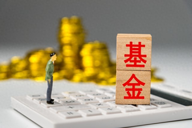 专业理财投资_理财小白指数基金定投_每月定投1000元指数基金收益