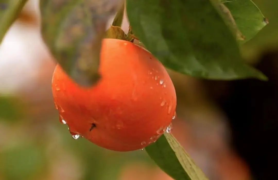 私募基金静默期是什么意思_募集户静默期_募集户冷静期