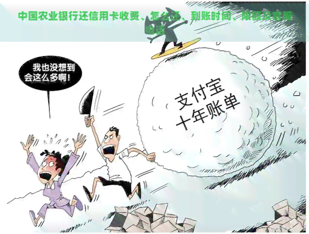 中国农业银行还信用卡收费、怎么还、到账时间、限额及客服电话