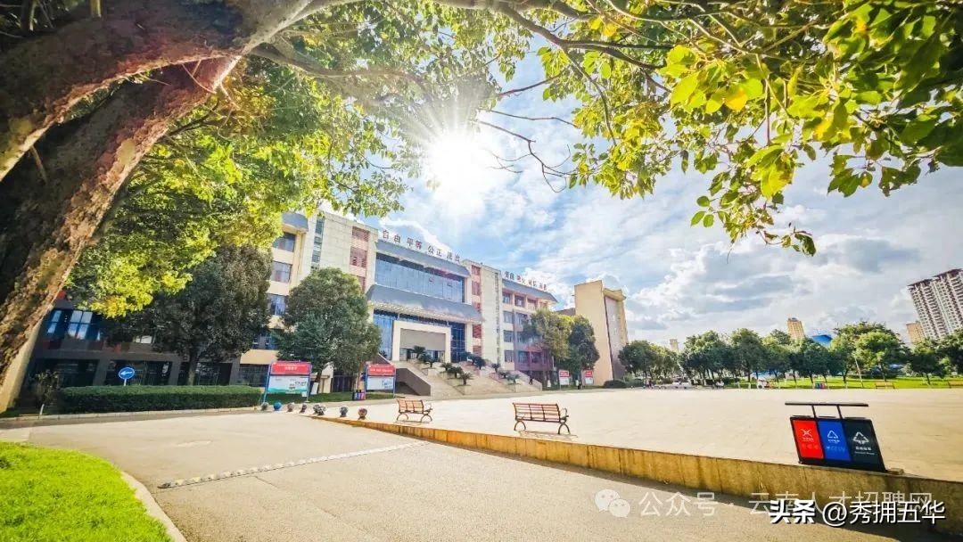 云南城市建设职业学院2025年下半年招聘公告_云南城市建设职业学院招聘条件_云南专科学校招聘