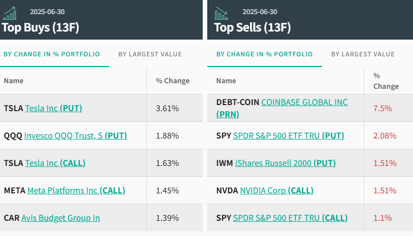 野村Q2持仓报告_Meta看涨期权持仓分析_股票期权 指引