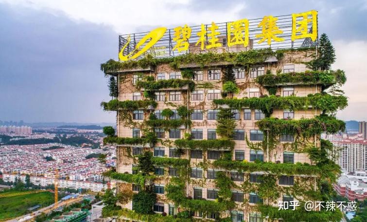 碧桂园多元化发展_碧桂园发展史_碧桂园物业很累吗