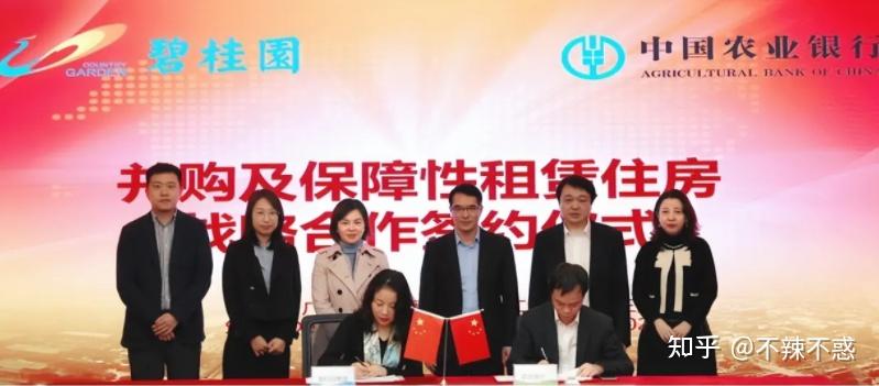 碧桂园物业很累吗_碧桂园多元化发展_碧桂园发展史