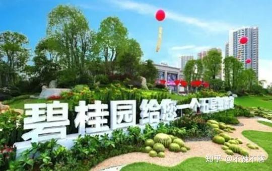 碧桂园发展史_碧桂园物业很累吗_碧桂园多元化发展