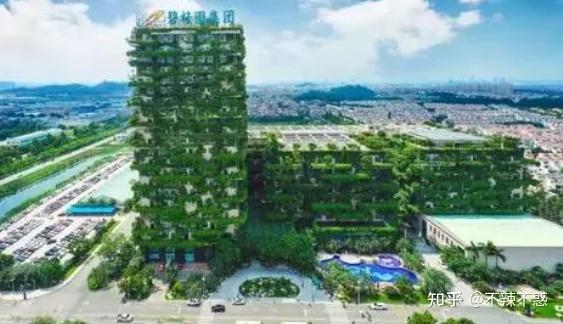 碧桂园物业很累吗_碧桂园多元化发展_碧桂园发展史