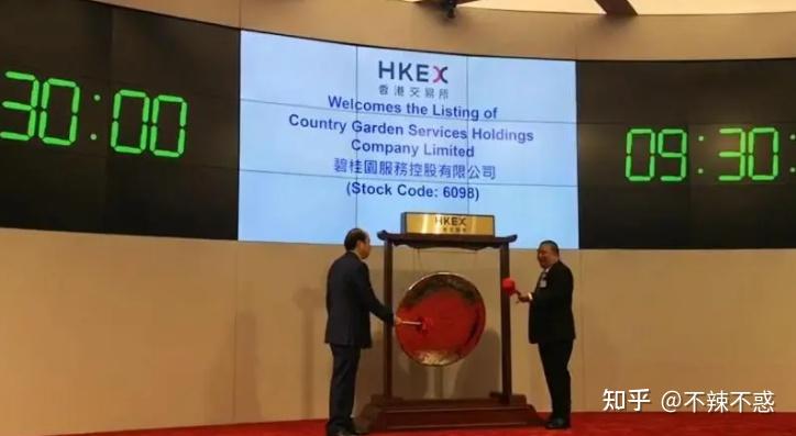 碧桂园多元化发展_碧桂园物业很累吗_碧桂园发展史