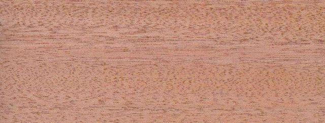 非洲沙比利木详解及真假辨别