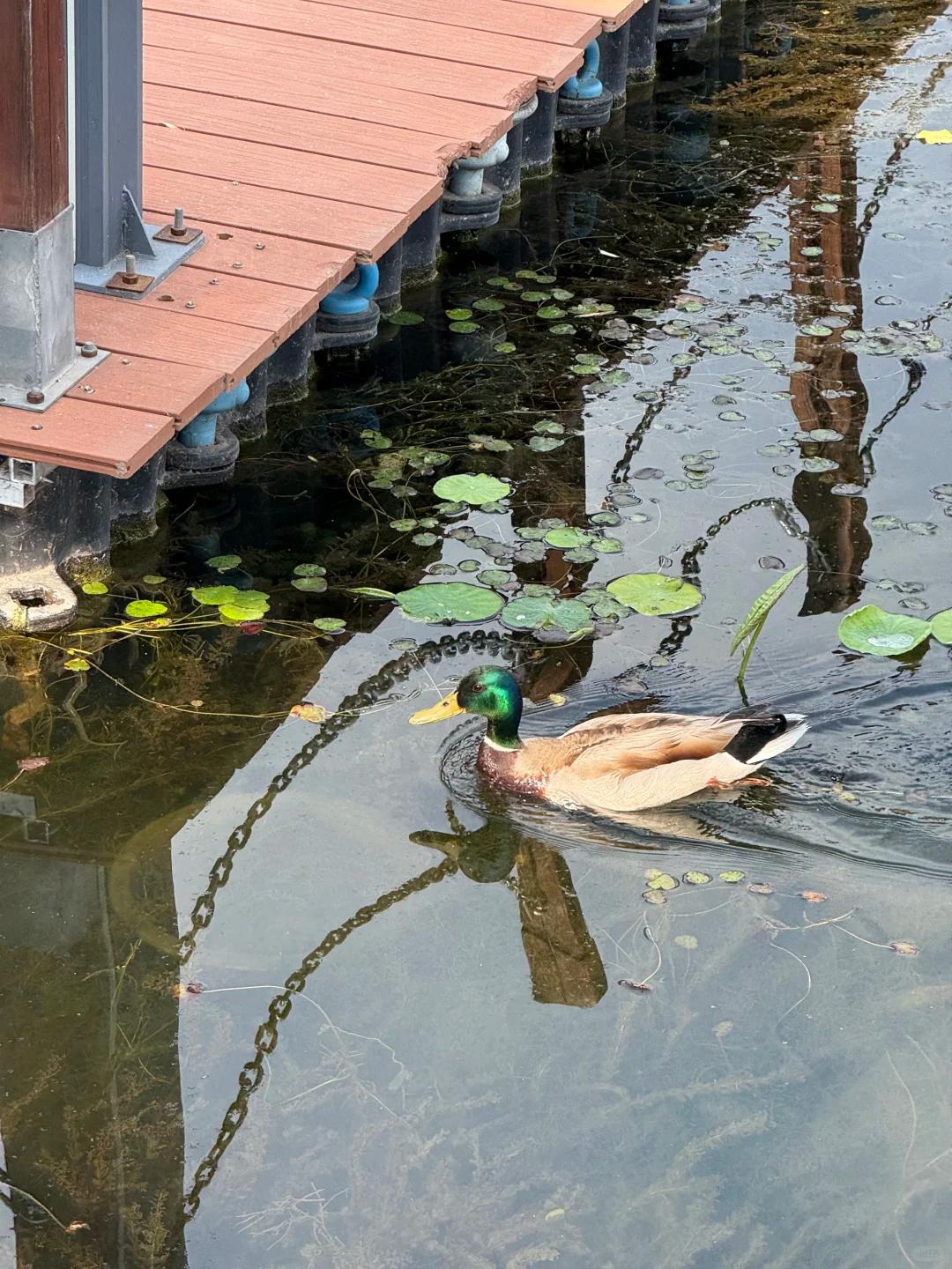 北京私人定制旅行社口碑榜_旅行社工作计划范文_2025年定制旅游路线