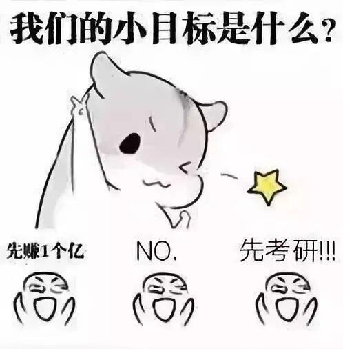 公共管理研究生专业_ 公共管理专业硕士报考条件 _2024年公共管理专业考研经验 