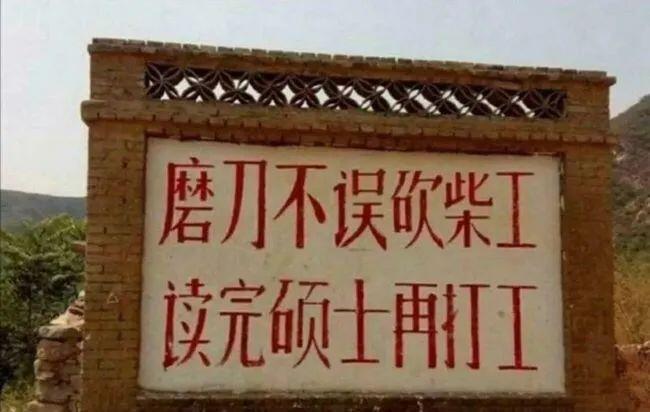 公共管理研究生专业_ 公共管理专业硕士报考条件 _2024年公共管理专业考研经验 