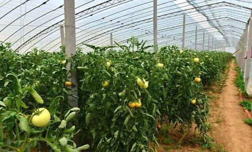 华塑控股扭亏在望 瓦斯治理成绿色增长新动能