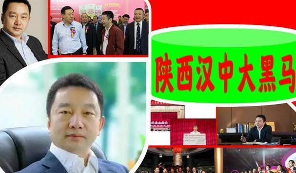 中航电测收购成飞 资产注入 上市公司控制权_中航黑豹最新消息