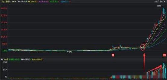 换手率捕捉强势股_股市大小非_股票风险控制